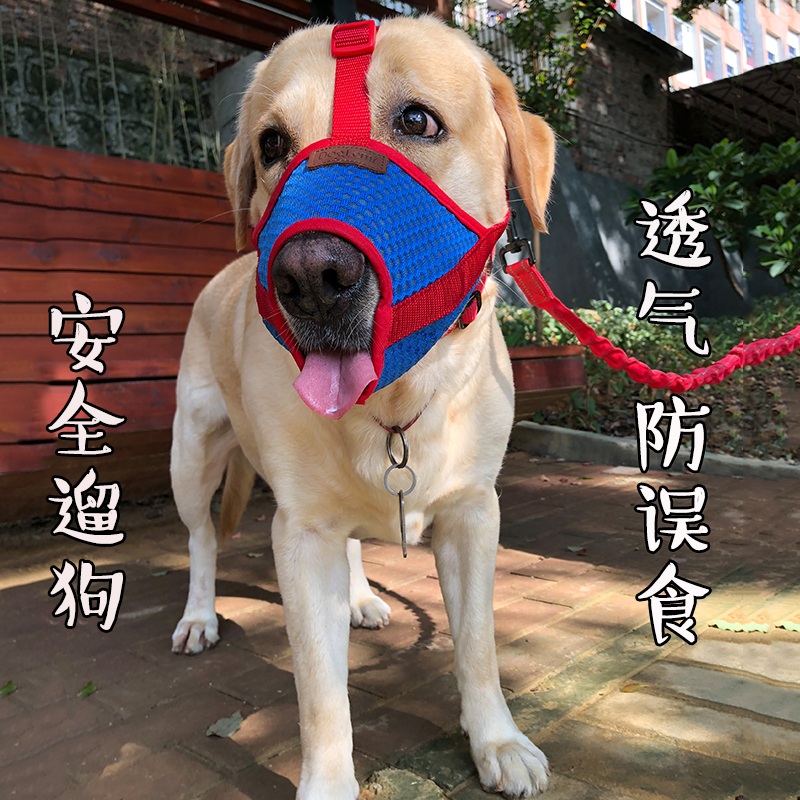 防挣脱 宠物嘴套防叫防咬防乱吃防捡垃圾透气拉布拉多金毛狗嘴套|msdalam kategori haiwan peliharaan/makanan haiwan dan bekalan, Cat/anjing harian, muncung - dari Buy2taobao.com untuk memberikan perkhidmatan ejen Taobao profesional membeli