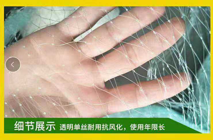 防护网防鸟网防冰雹葡萄果园鱼塘天网阳台大棚按斤防护网在类目 五金/工具, 施工保护, 交通安全保护, 护栏/隔离栏中 - 来自Buy2taobao.com提供专业的淘宝代购服务