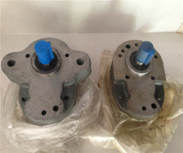 Oil pump with ear Band sawing machine Oil pump Gear pumps cb-b4 b6-b6 Pump Morning dragon oil pumpin the Hardware/Tool , Electrical Hardware , Pump , Other types of pumps category - from Buy2taobao.com to provide professional Taobao agent buy service
