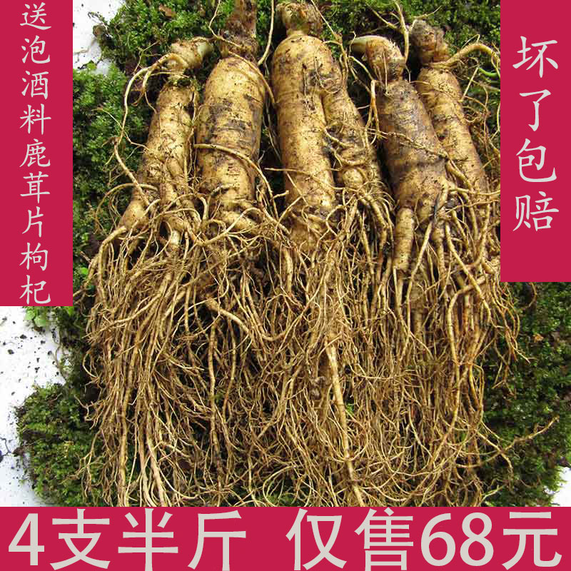 长白山鲜人参野山参特大野人参新鲜带土六年人参泡酒煲汤每份250g在类目 传统滋补营养品, 参类滋补品, 人参/园参中 - 来自Buy2taobao.com提供专业的淘宝代购服务