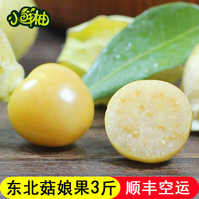 【顺丰空运】东北菇娘果3斤 黄金豆姑娘特产菇茑灯笼果新鲜水果在类目 水产肉类/新鲜蔬果/熟食, 新鲜水果, 其它中 - 来自Buy2taobao.com提供专业的淘宝代购服务