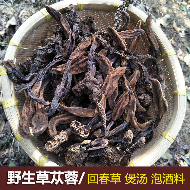 野生草苁蓉广西金秀大瑶山不老草顶天柱回春草煲汤泡茶泡酒料250g在类目 传统滋补营养品, 其他传统滋补品, 不老草中 - 来自Buy2taobao.com提供专业的淘宝代购服务