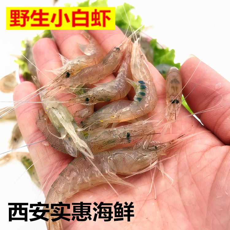 新到西安水产冰鲜河虾500g 野生鲜小河虾椒盐小白小明虾闪送到家|msdalam kategori daging perikanan/Buah-buahan segar dan sayur-sayuran/dimasak, makanan laut/produk akuatik/produk, udang, udang Live - dari Buy2taobao.com untuk memberikan perkhidmatan ejen Taobao profesional membeli