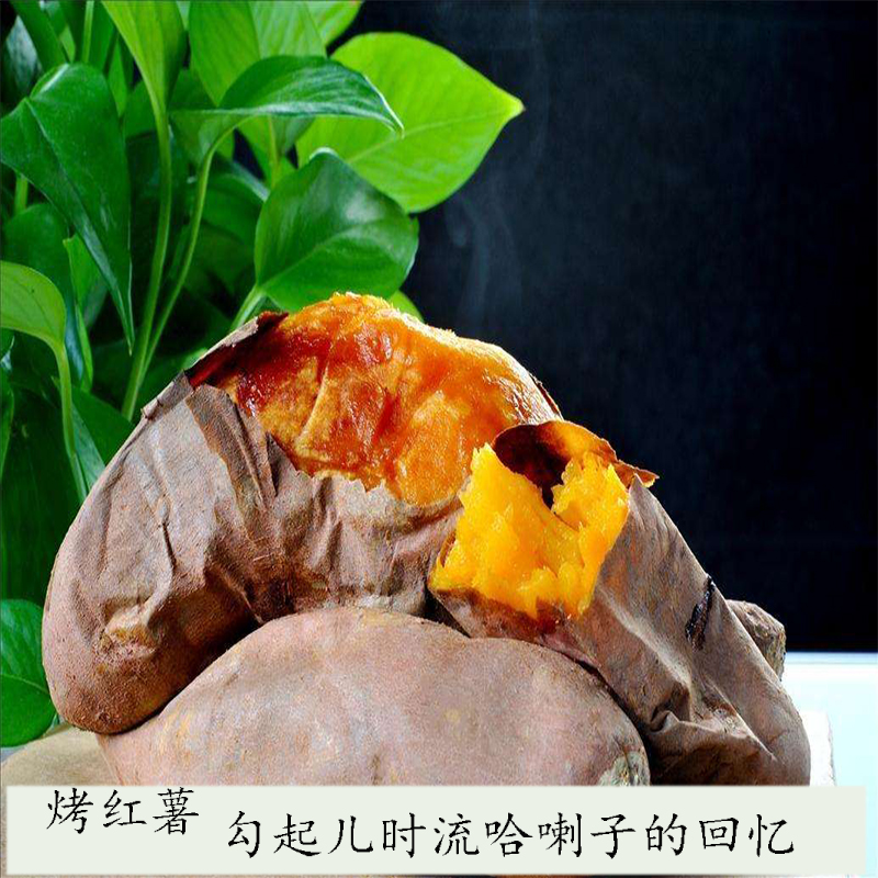 西瓜紅紅薯黃心板栗薯番薯地瓜十斤包郵在類目 水產肉類/新鮮蔬果/熟食, 新鮮蔬菜/蔬菜製品, 新鮮蔬菜, 番薯中 - 來自Buy2taobao.com提供專業的淘寶代購服務