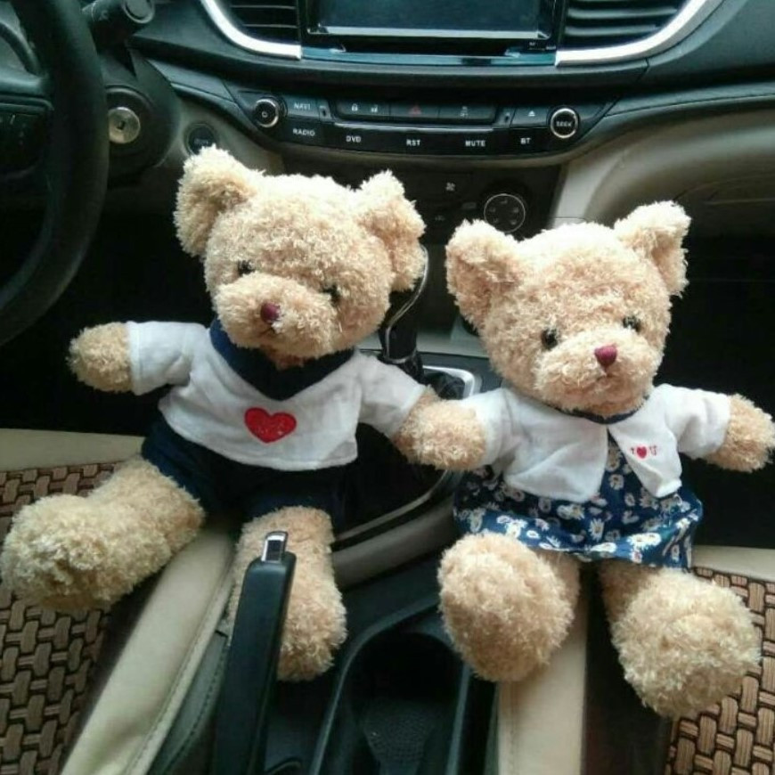 Teddy Bear The car Odor Supplies Activated carbon package Doll vehicle a doll automobile Rear Window Decoration In addition to formaldehydein the Car/Articles/Fitting/Refit , Car Accessories/The jewelry , Car perfume/Purify/Cooling agent , Charcoal adsorption goods vehicle category category - from Buy2taobao.com to provide professional Taobao agent buy service