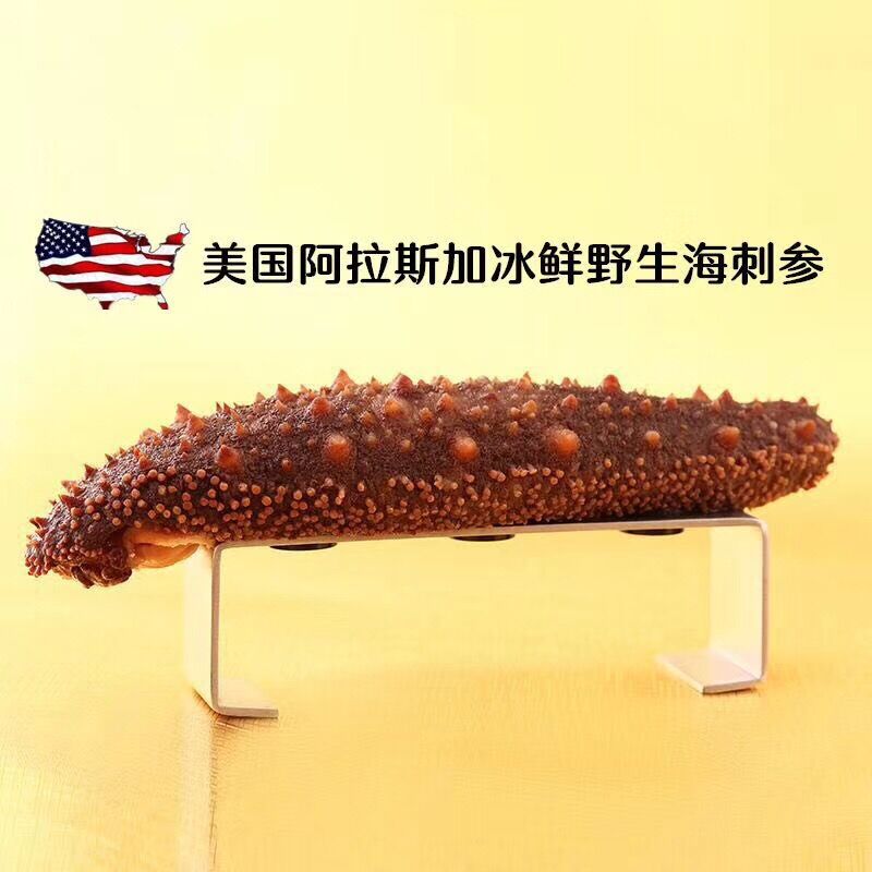 美国阿拉斯加纯野生海参鲜冻海参原生态未处理泡发过烹饪方便500g在类目 水产肉类/新鲜蔬果/熟食, 海鲜/水产品/制品, 海参中 - 来自Buy2taobao.com提供专业的淘宝代购服务