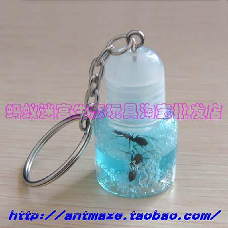 empire Ecological toys Ant Mania Key pendant Science and Education Souptoys Ant Villasin the Pet/Pet food and supplies , Reptile/Insects and supplies Ming , Ant Mania category - from Buy2taobao.com to provide professional Taobao agent buy service