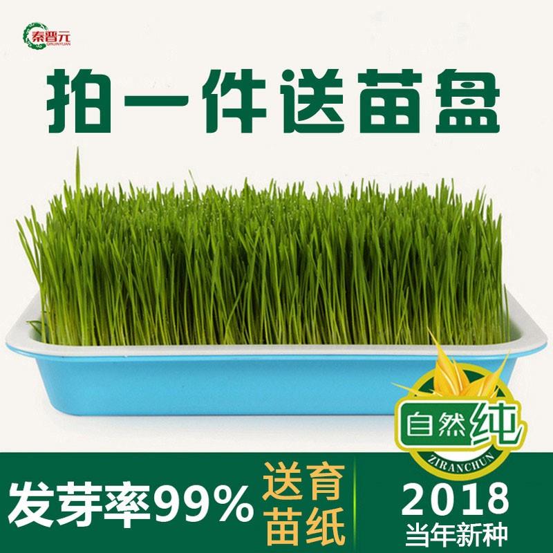 水培种植盘室内蔬菜盆托盘长方形无土栽培套餐网格育苗盘纸上种植|ruв категории доставка цветов/цветок моделирования/растения садоводства, садовых принадлежностей, питомник диск/питательный горшок - от Buy2taobao.com для оказания профессиональной услуги покупки агента Taobao