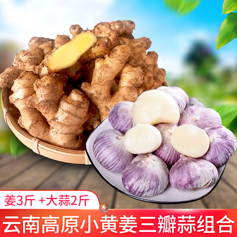 Yunnan specialty Luoping fresh Small turmeric combination The month Ginger ginger 5 pounds Garlicin the Aquatic meat/Fresh fruits and vegetables/Cooked , Fresh vegetables/Vegetable products , Ginger category - from Buy2taobao.com to provide professional Taobao agent buy service