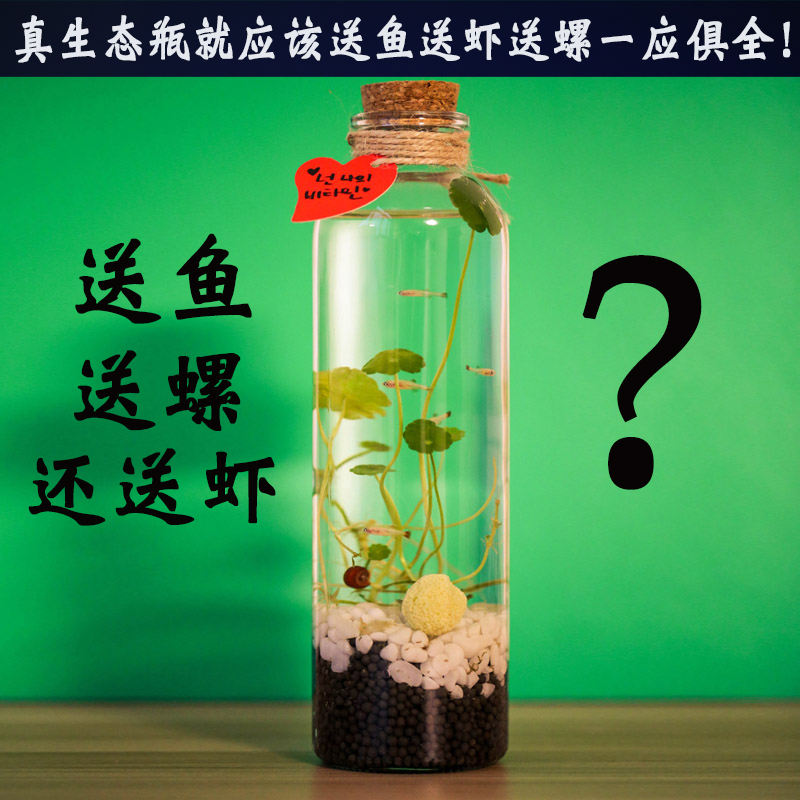 創意微觀水族生態瓶玻璃免換水免喂食免打理生態系統設計原理課題在類目 寵物/寵物食品及用品, 水族世界, 魚缸等水族設備, 生態瓶/創意缸/桌面微景缸中 - 來自Buy2taobao.com提供專業的淘寶代購服務