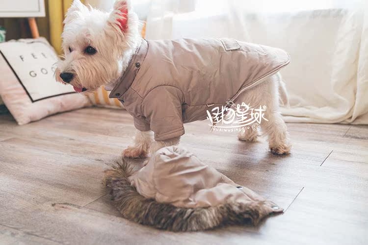 冬季新款日韩宠物带帽可脱卸棉衣泰迪比熊狗狗猫咪衣服小狗冬装在类目 宠物/宠物食品及用品, 宠物服饰及配件, 宠物服装/雨衣中 - 来自Buy2taobao.com提供专业的淘宝代购服务