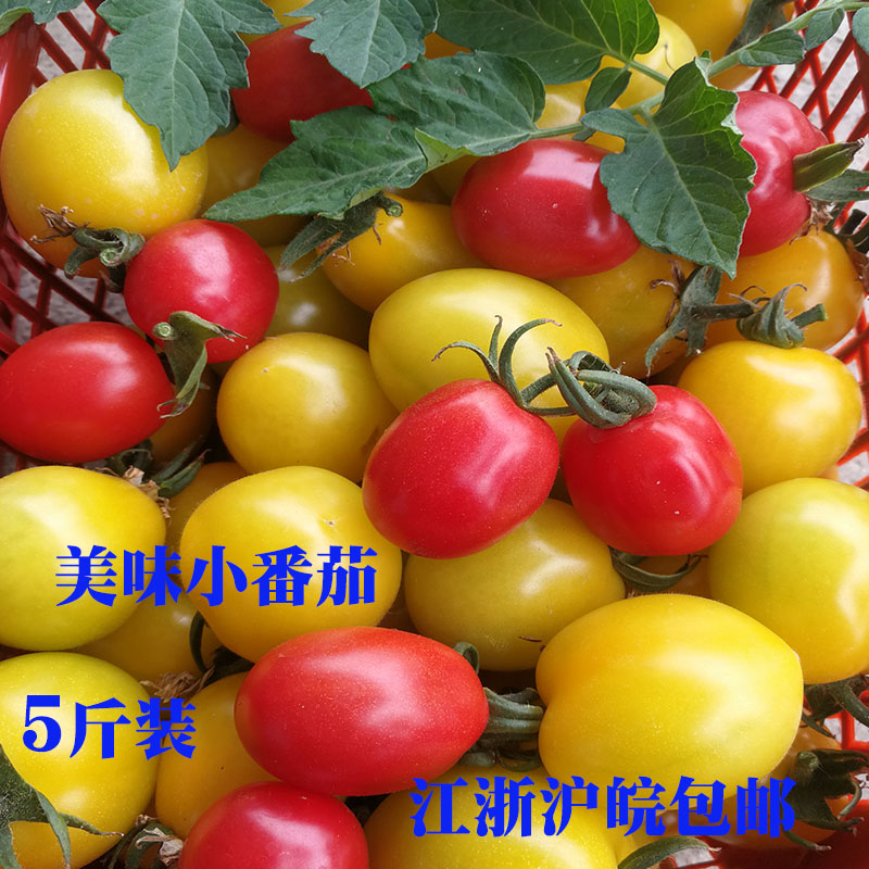 圣女果新鲜孕妇水果小番茄生吃 珍珠西红柿5斤装包邮非海南千禧在类目 水产肉类/新鲜蔬果/熟食, 新鲜蔬菜/蔬菜制品, 新鲜蔬菜, 番茄中 - 来自Buy2taobao.com提供专业的淘宝代购服务