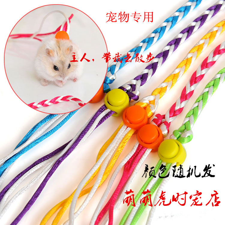 Small pets Dual use Traction rope Pets Liu Wan squirrel Hamsters rabbit Supplies Watkins Bear Guinea pigsin the Pet/Pet food and supplies , Pet apparel and accessories , Other Accessories category - from Buy2taobao.com to provide professional Taobao agent buy service