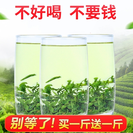 高山云雾 茶叶 2019年新茶散装浓香型 春茶炒青500g日照足绿茶|msdalam kategori teh, Teh hijau (baru), Rizhao teh hijau - dari Buy2taobao.com untuk memberikan perkhidmatan ejen Taobao profesional membeli