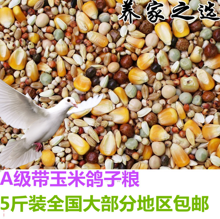 包邮5斤装品冠A级赛飞鸽粮有玉米幼鸽饲料鸟食信鸽观赏鸽肉鸽粮食|ruв категории животное/Животное питание и принадлежностей, птиц и принадлежностей, птица - от Buy2taobao.com для оказания профессиональной услуги покупки агента Taobao