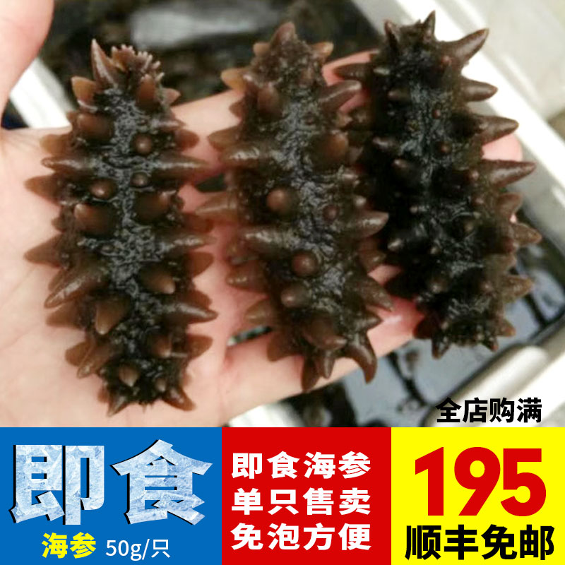 海参新鲜冷冻大连野生海参约50G/只海鼠辽刺参活体即食海参 海参在类目 水产肉类/新鲜蔬果/熟食, 海鲜/水产品/制品, 海参中 - 来自Buy2taobao.com提供专业的淘宝代购服务