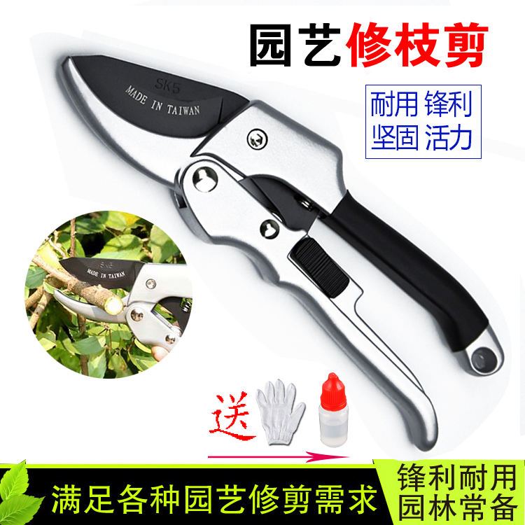 剪枝剪刀果树园艺剪园林工具花园修枝剪绿化粗枝剪树枝德国进口|msdalam kategori perkakasan/alat, Alat-alat tangan, Shears, gunting taman - dari Buy2taobao.com untuk memberikan perkhidmatan ejen Taobao profesional membeli