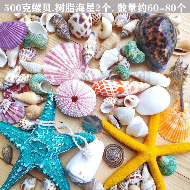 Conch shell Starfish Platform fish tank Landscaping decorate Hermit Crab Punch holes children Handmade photo frame diy Drift bottlesin the Home accessories , Creative Jewelry , Conch/Shell/Coral category - from Buy2taobao.com to provide professional Taobao agent buy service