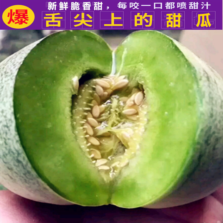 Muskmelon Emerald muskmelon fresh fruit Season Season pregnant woman flesh Sweet 5in the Aquatic meat/Fresh fruits and vegetables/Cooked , Fresh fruit , Other category - from Buy2taobao.com to provide professional Taobao agent buy service