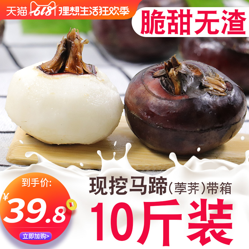 马蹄带箱10斤荸荠新鲜当季水果蔬菜5包邮饽荠珍珠当即食马蹄果在类目 水产肉类/新鲜蔬果/熟食, 新鲜蔬菜/蔬菜制品, 新鲜蔬菜, 其它中 - 来自Buy2taobao.com提供专业的淘宝代购服务