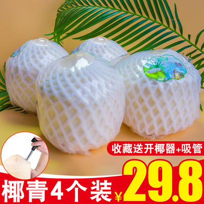 海南水果椰子新鲜椰青4个装当季整箱包邮非椰皇椰宝热带香椰汁