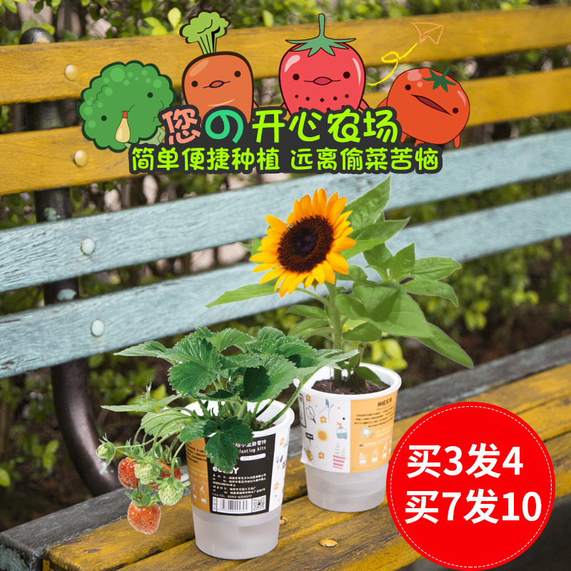 儿童种植小盆小花农植物创意盆栽套件幼儿园宝宝手工DIY养殖种花在类目 鲜花速递/花卉仿真/绿植园艺, 创意迷你植物中 - 来自Buy2taobao.com提供专业的淘宝代购服务
