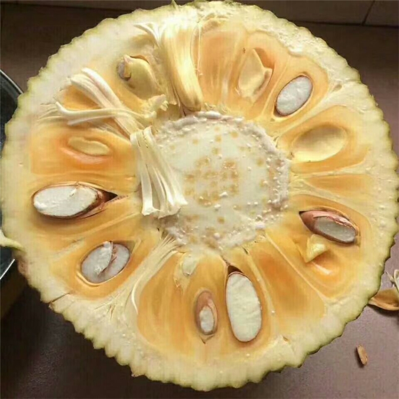 泰国红肉菠萝蜜进口新鲜水果红心超海南三亚口感甜整个果15斤包邮在类目 水产肉类/新鲜蔬果/熟食, 新鲜水果, 其它中 - 来自Buy2taobao.com提供专业的淘宝代购服务