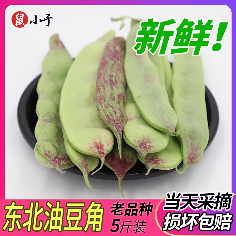 東北特産 壹點紅面豆角開鍋爛農家自産油豆角新鮮蔬菜5斤現摘包郵在類目 水產肉類/新鮮蔬果/熟食, 新鮮蔬菜/蔬菜製品, 新鮮蔬菜, 其它中 - 來自Buy2taobao.com提供專業的淘寶代購服務