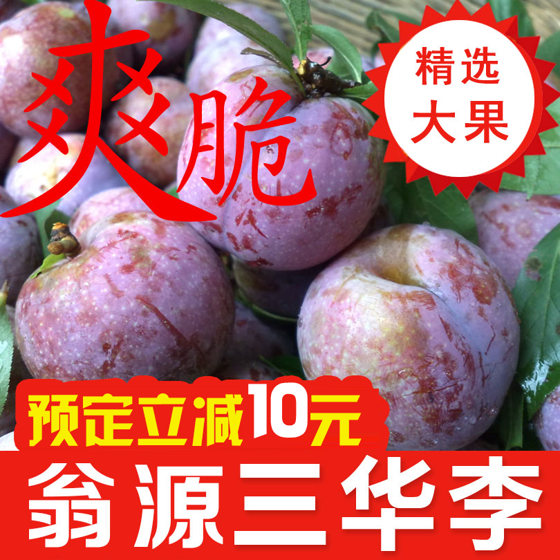 正宗翁源三华李5斤韶关特产新鲜水果红心李脆李子pk前排三华李在类目 水产肉类/新鲜蔬果/熟食, 新鲜水果, 李子中 - 来自Buy2taobao.com提供专业的淘宝代购服务