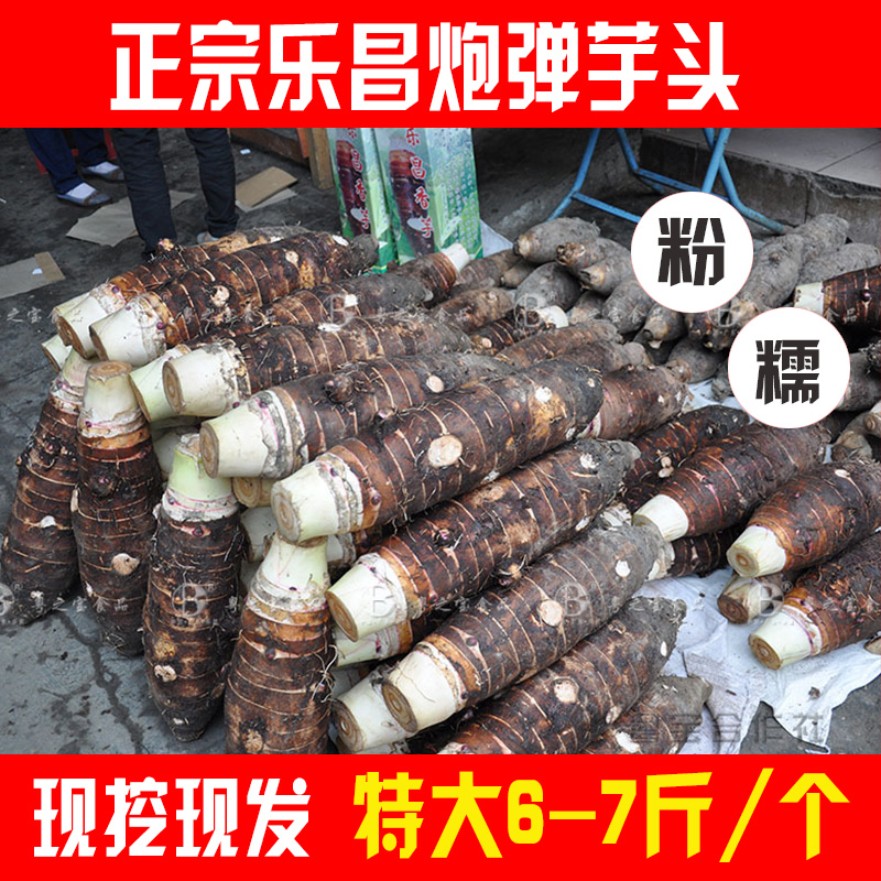 【6-7斤/个】香芋新鲜张溪炮弹香芋头乐昌特产农家蔬菜槟榔芋包邮在类目 水产肉类/新鲜蔬果/熟食, 新鲜蔬菜/蔬菜制品, 新鲜蔬菜, 其它中 - 来自Buy2taobao.com提供专业的淘宝代购服务