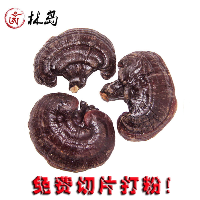 Lindau Changbai Ganoderma lucidum Linden wood fungus 26.8 element/3 pounds Fresh ginseng sectionin the Traditional nourishing food , Ganoderma , Pruning Ganoderma category - from Buy2taobao.com to provide professional Taobao agent buy service