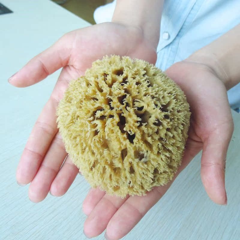 美术海藻绵 艺术涂料蜂窝硅藻泥工具 仿肌理壁纸浮雕希腊天然海绵|ruв категории основы строительных материалов, покрытие (латексная краска), диатомовые водоросли в грязи - от Buy2taobao.com для оказания профессиональной услуги покупки агента Taobao