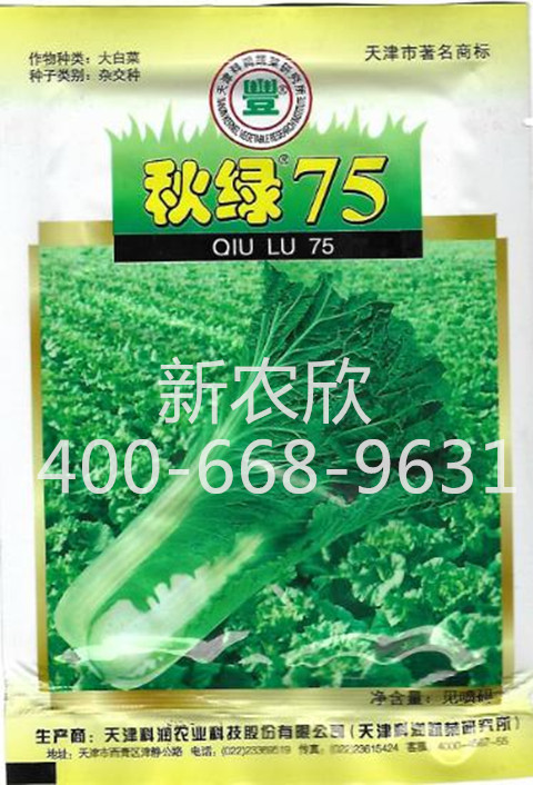 秋绿75/青麻叶/大白菜/种子/天津科润/白菜种子/直立核桃纹白菜籽在类目 农用物资, 种子/种苗, 蔬菜种子中 - 来自Buy2taobao.com提供专业的淘宝代购服务