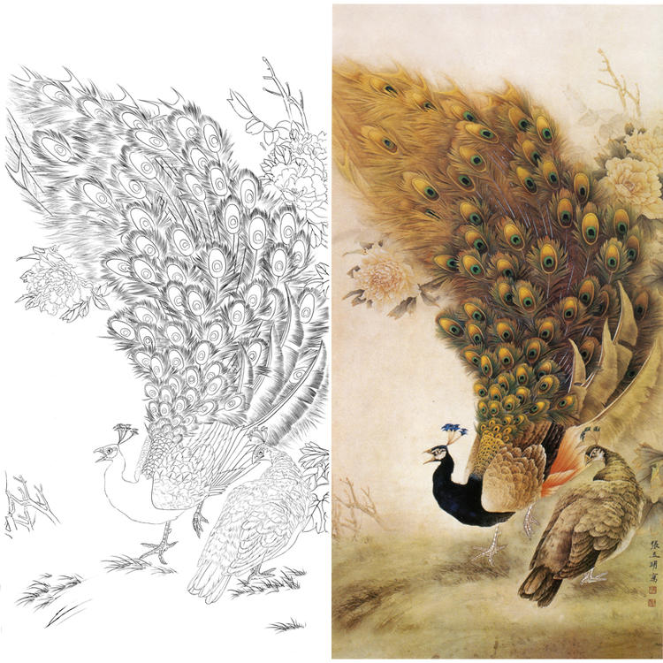 A097张玉明工笔花鸟白描底稿线描稿竖幅花鸟孔雀打印版|ruв категории Домашний быт, декоративная живопись, китайская живопись - от Buy2taobao.com для оказания профессиональной услуги покупки агента Taobao