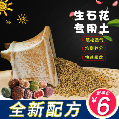 生石花土 屁屁花肉锥专用颗粒配土营养土pp 番杏科专用多肉土包邮