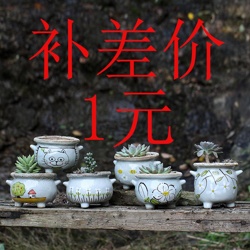1元补差价在类目 鲜花速递/花卉仿真/绿植园艺, 花瓶/花器/花盆/花架(新), 花盆中 - 来自Buy2taobao.com提供专业的淘宝代购服务