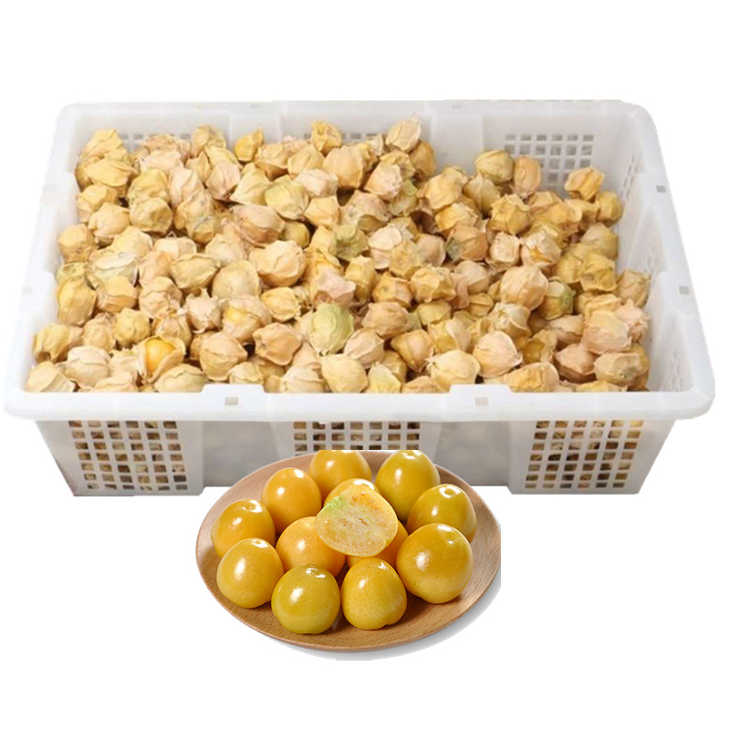 順豐包郵新鮮水果菇娘菇娘果黃皮菇娘3斤在類目 水產肉類/新鮮蔬果/熟食, 新鮮水果, 其它中 - 來自Buy2taobao.com提供專業的淘寶代購服務