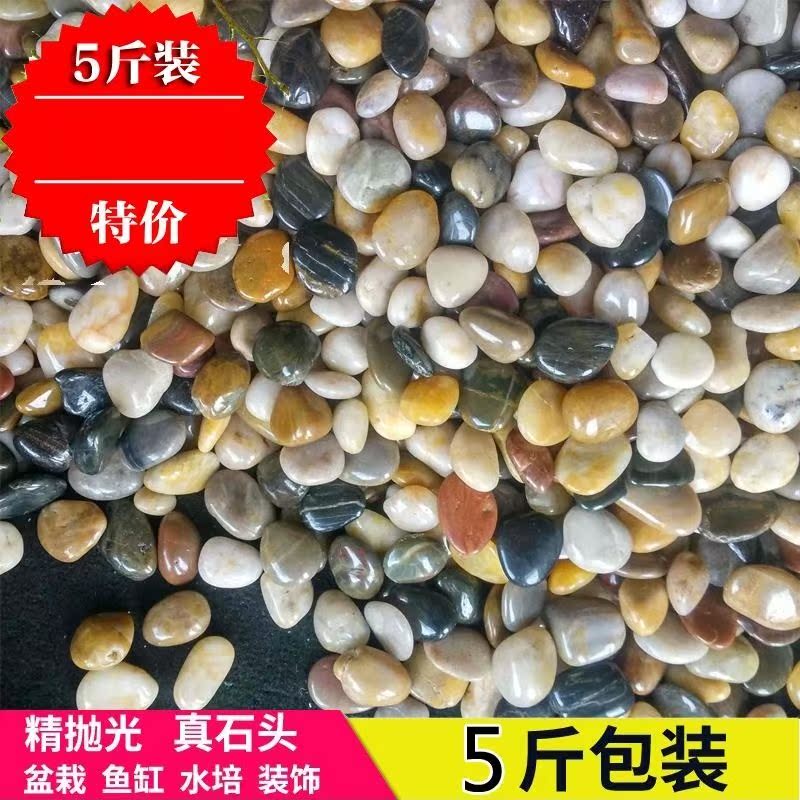 鹅卵石雨花石 天然石头水养花卉用石子鱼缸装饰品石子鱼缸|ruв категории доставка цветов/цветок моделирования/растения садоводства, садовых принадлежностей, других садовых принадлежностей - от Buy2taobao.com для оказания профессиональной услуги покупки агента Taobao