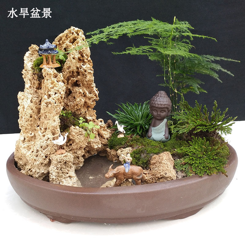 天然上水石吸水石植物山石盆景原石假山石头奇石水旱盆景创意礼品在类目 鲜花速递/花卉仿真/绿植园艺, 园艺用品, 其它园艺用品中 - 来自Buy2taobao.com提供专业的淘宝代购服务