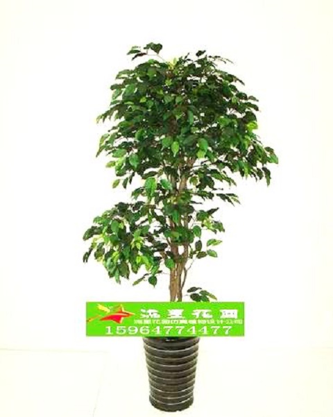 特价包邮仿真植物仿真盆景仿真榕树装饰树客厅会场装饰可定制在类目 鲜花速递/花卉仿真/绿植园艺, 仿真花/绿植/蔬果成品(新), 仿真绿植中 - 来自Buy2taobao.com提供专业的淘宝代购服务