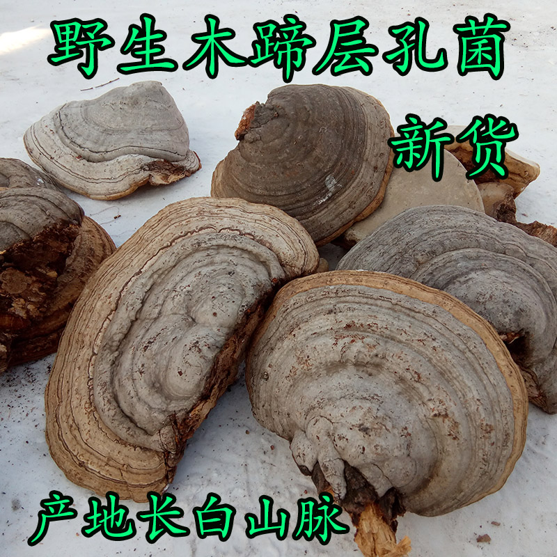 Changbai wild GANODERMA Ganoderma lucidum Ganoderma lucidum wild Ganoderma lucidum 500 gramin the Traditional nourishing food , Ganoderma , Pruning Ganoderma category - from Buy2taobao.com to provide professional Taobao agent buy service