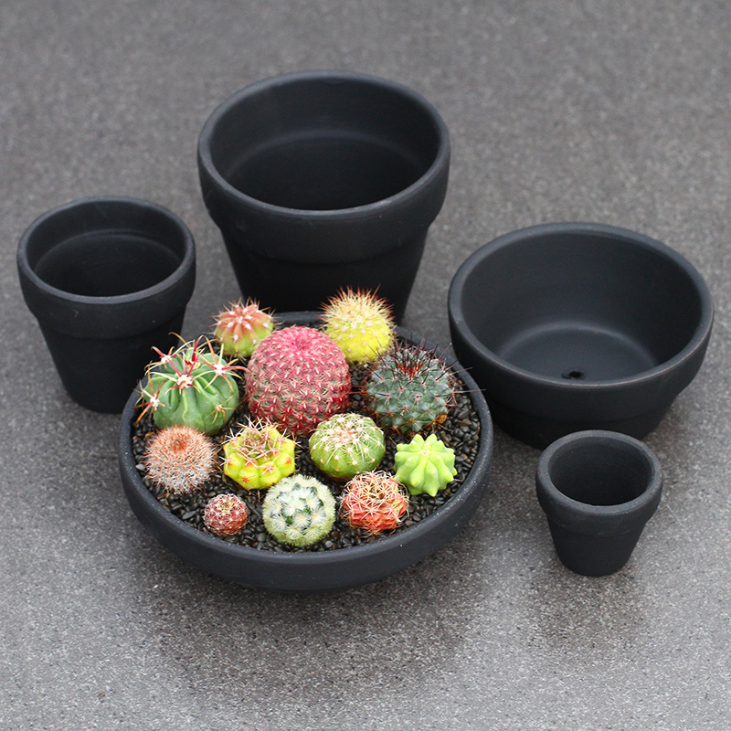 植物员外 百搭黑陶盆 黑色红陶花盆透气套装多肉植物组合盆栽花盆|msdalam kategori penghantaran bunga/bunga simulasi/tumbuhan berkebun, pasu/bunga/flowerpot/Bunga (baru), flowerpot - dari Buy2taobao.com untuk memberikan perkhidmatan ejen Taobao profesional membeli