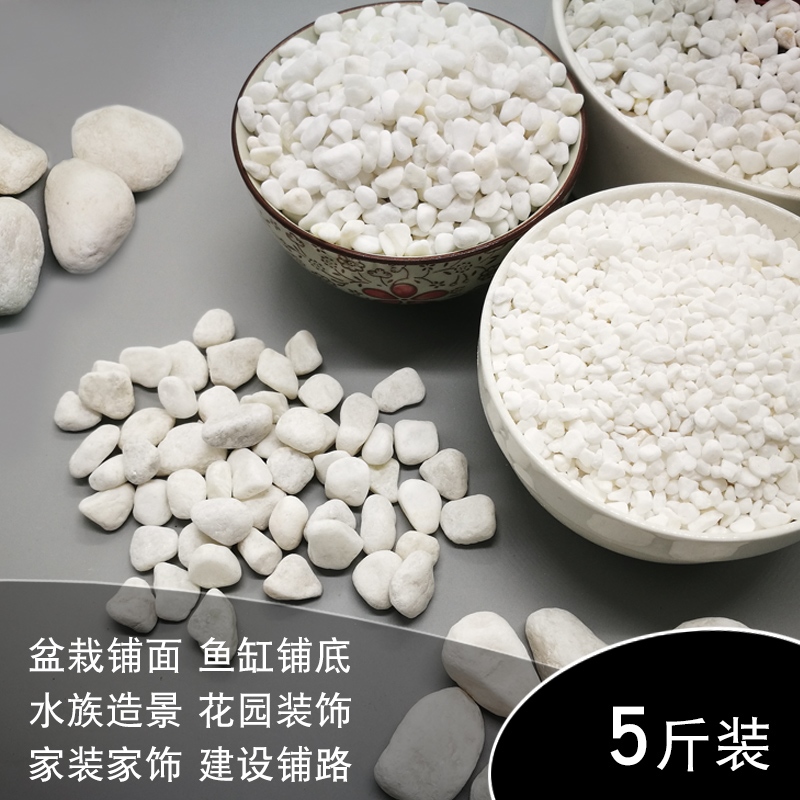 地面室内红绿雪花白喷泉雨花水景白石子种肉景观石铺面时尚花盘在类目 鲜花速递/花卉仿真/绿植园艺, 园艺用品, 其它园艺用品中 - 来自Buy2taobao.com提供专业的淘宝代购服务