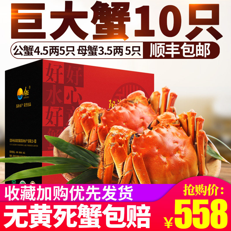 现货今旺大闸蟹鲜活螃蟹 可 全母特大公母蟹礼盒装顺丰包邮