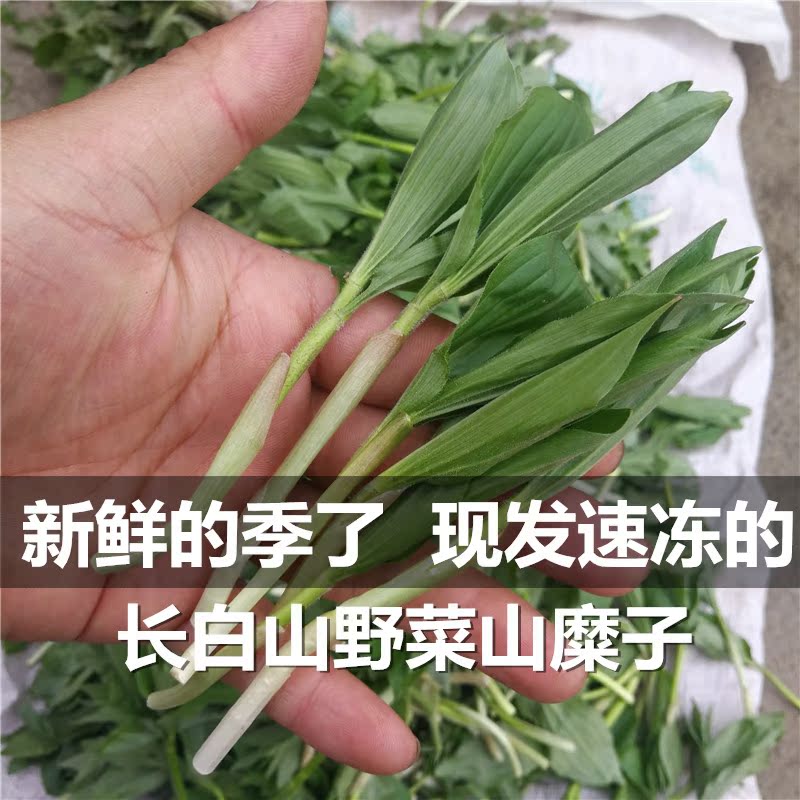 山野菜山糜子东北野生新鲜野菜2斤部分地区包邮应季新鲜过季速冻|ruв категории водной мясо/свежие фрукты и овощи/еда, свежие овощи/овощной продукции, свежие овощи, другие - от Buy2taobao.com для оказания профессиональной услуги покупки агента Taobao