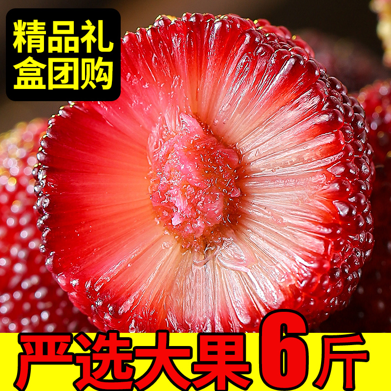 杨梅新鲜6斤顺丰空运现摘浮宫应当季新鲜水果包邮整箱非仙居东魁|ruв категории водной мясо/свежие фрукты и овощи/еда, свежие фрукты, другие - от Buy2taobao.com для оказания профессиональной услуги покупки агента Taobao