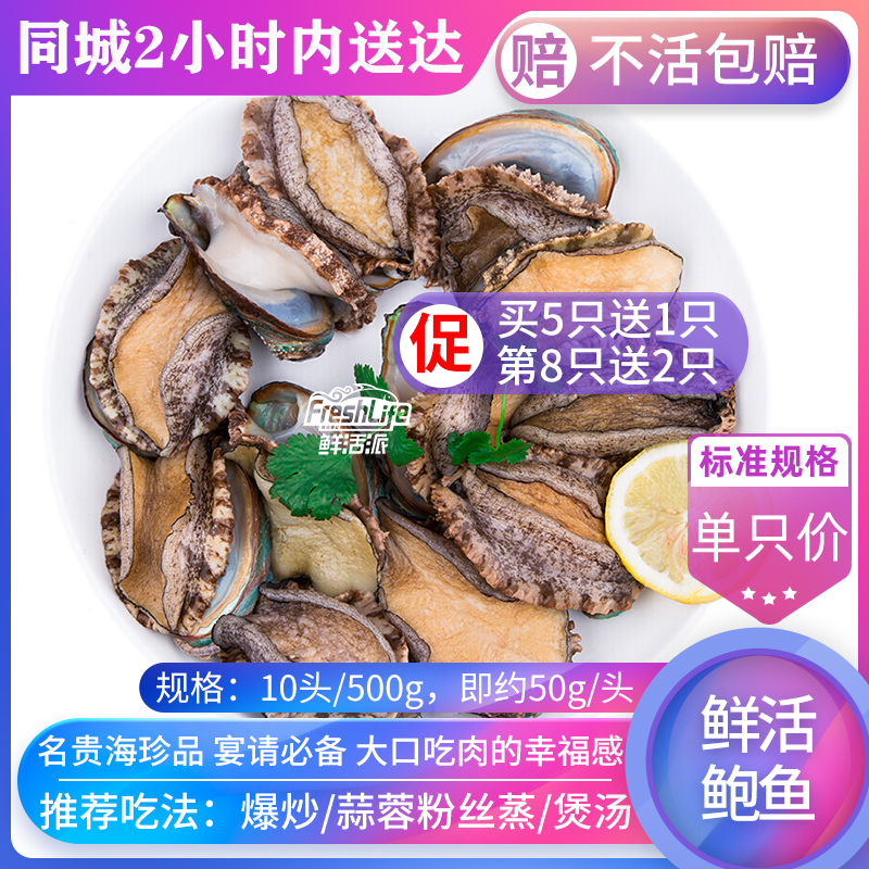 成都店 包鲜活大连10#鲍鱼单只价 特级野生鲍贝九孔螺海鲜之首在类目 水产肉类/新鲜蔬果/熟食, 海鲜/水产品/制品, 贝类, 鲍鱼中 - 来自Buy2taobao.com提供专业的淘宝代购服务