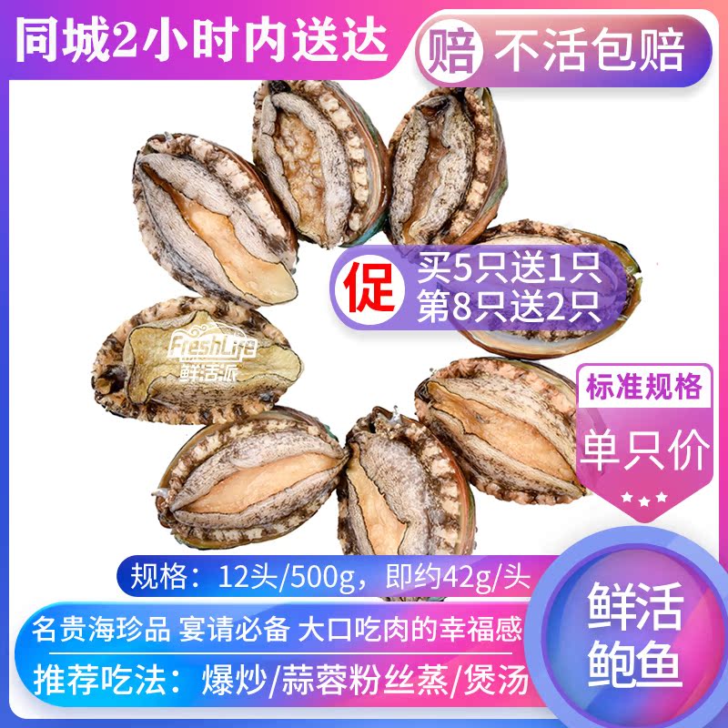 长沙店 包鲜活大连12#鲍鱼单只价 特级野生鲍贝九孔螺海鲜之首在类目 水产肉类/新鲜蔬果/熟食, 海鲜/水产品/制品, 贝类, 鲍鱼中 - 来自Buy2taobao.com提供专业的淘宝代购服务