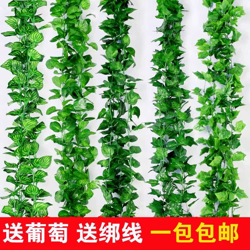 simulation Rattan Grape leaves Artificial flower Vine Leaves The Conduit decorate suspended ceiling Plastic Botany Green leafin the Flower delivery/Flowers simulation/Plants gardening , Artificial flowers/Plants/Finished fruits and vegetables (New) , Simulation plants category - from Buy2taobao.com to provide professional Taobao agent buy service