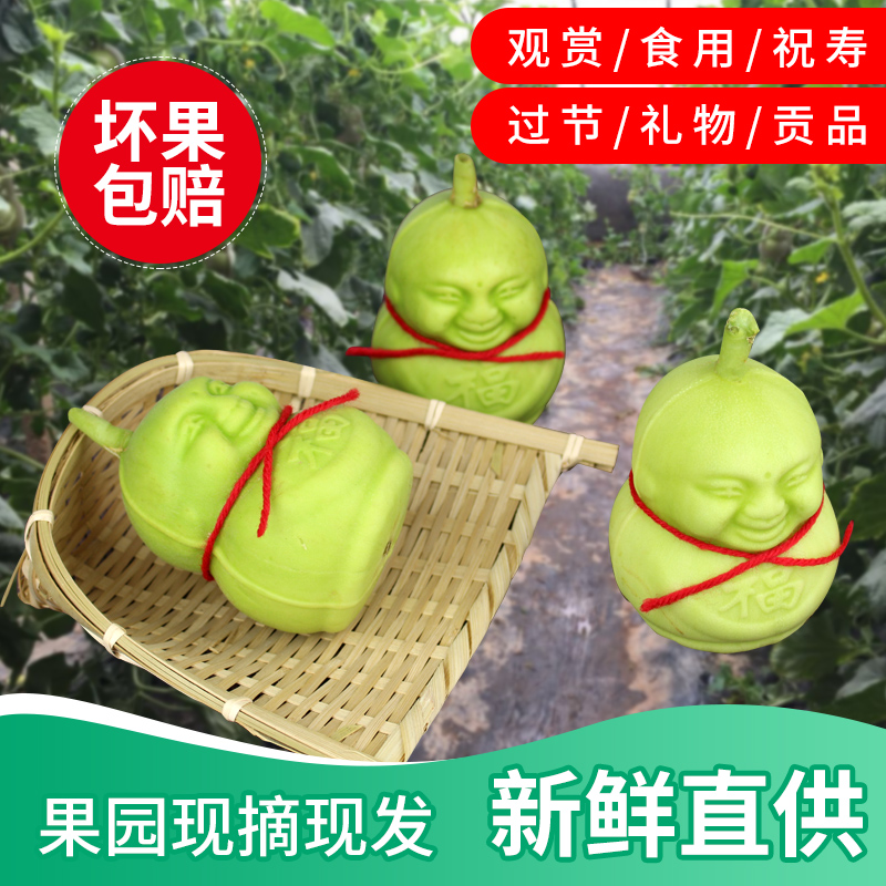 一级人参果新鲜水果人形娃娃福娃寿果贡品节日礼物甜瓜非云南十个在类目 水产肉类/新鲜蔬果/熟食, 新鲜水果, 其它中 - 来自Buy2taobao.com提供专业的淘宝代购服务
